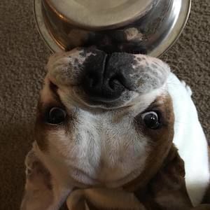 Meet your Posher, Aaron